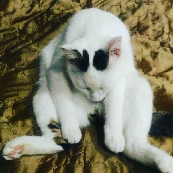 o o