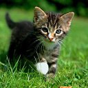 ���� ��������, ������, 50 ��� - ��������� 9 ���� 2021 � ������ ���� ����������