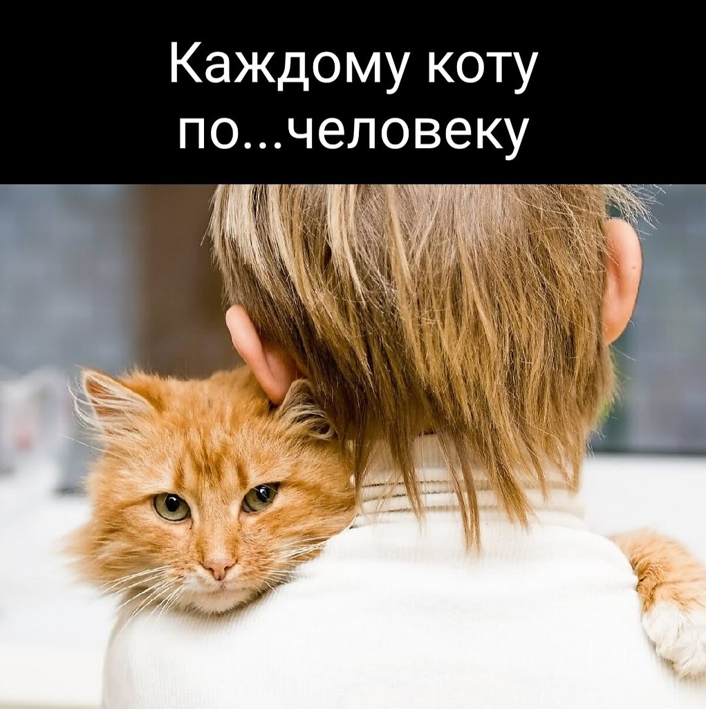  -    ,   ,       ...
