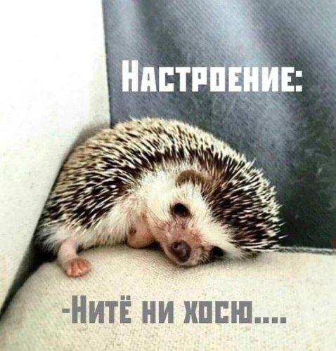   ! - 29  2021  06:44