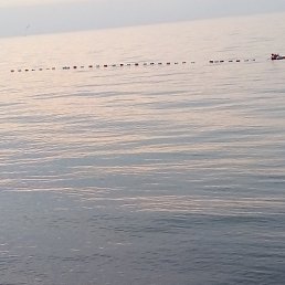 ���� ���, ������, 53 ���� - ��������� 24 ������� 2021