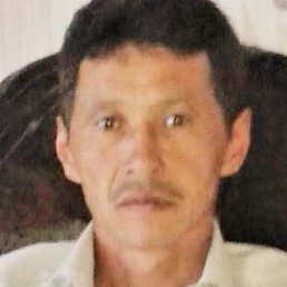 �����, �������������, 56 ���