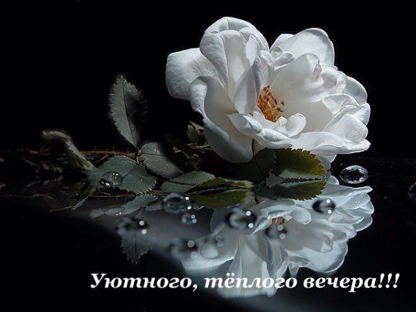   ,    . - 24  2021  20:04 - 9