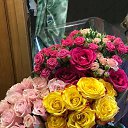 ���� �����, ���, 55 ��� - ��������� 6 ��� 2021 � ������ ���� ����������