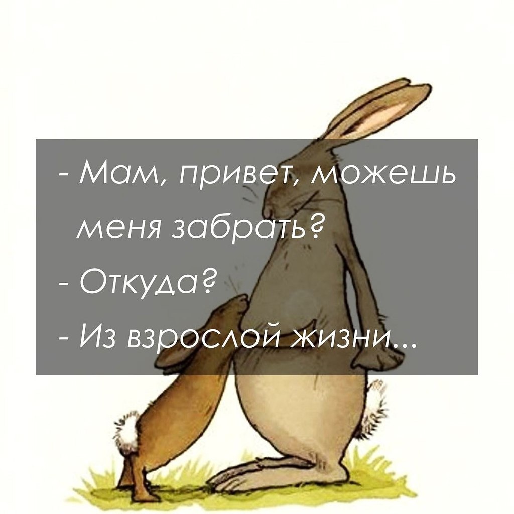   - 3  2021  00:49