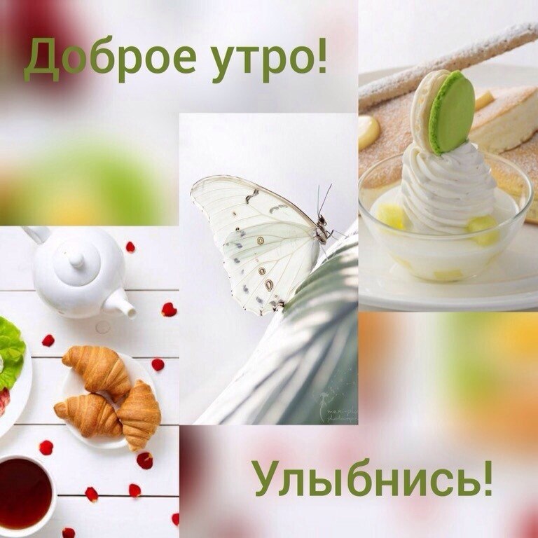  ,    . - 19  2021  01:13 - 5