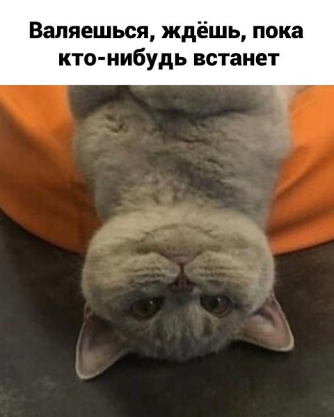 ����, ��� �� ���������� ����� �������� � ����� ���������! ������� ���������� - 3