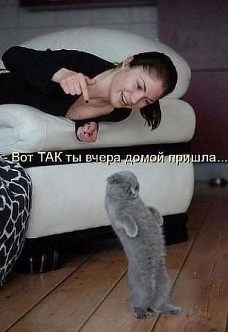    - 7  2021  11:13