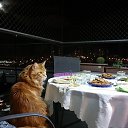 ���� �lina, �����, 60 ��� - ��������� 25 ����� 2021 � ������ ����� , ������ � ������