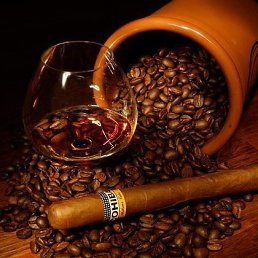 ����, ������������