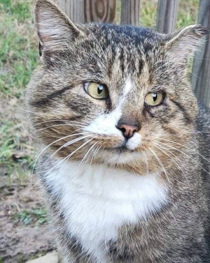-     . -   ? -    ,    . - 3