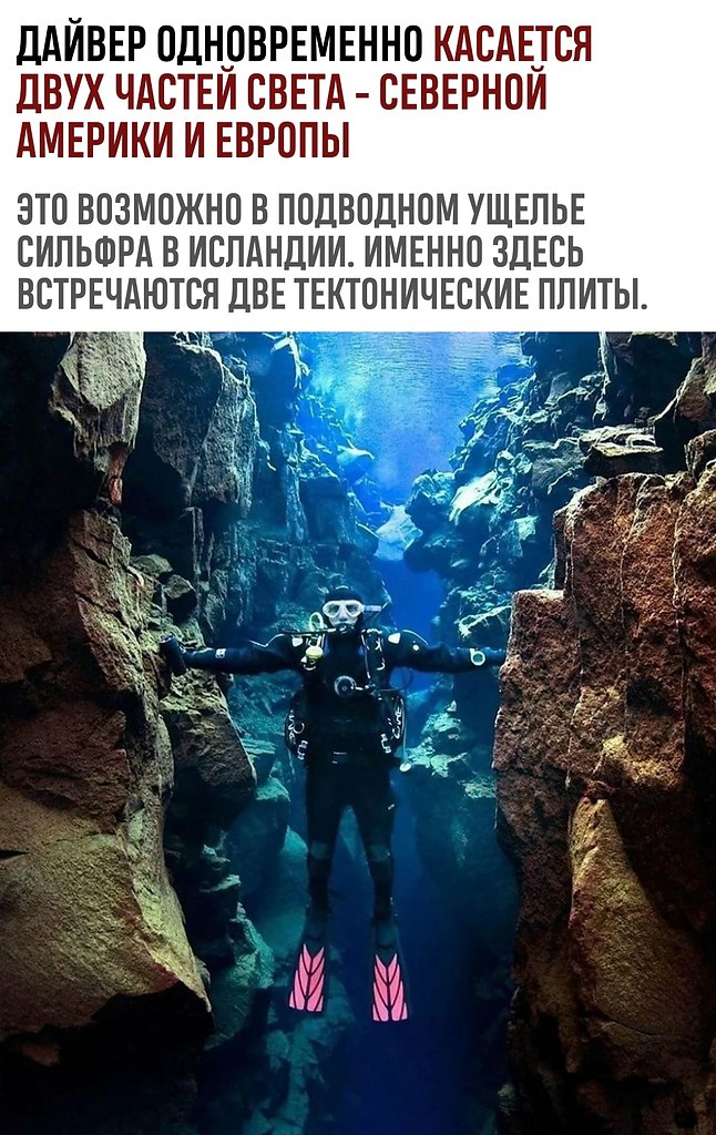 �������� ����������� �� ����� ����������� ����