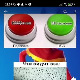 ������, �����, 23 ����