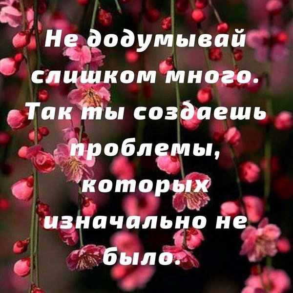   - 8  2022  19:45