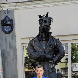  , , 51  -  10  2022