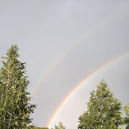 ���� ����, �����-���������, 61 ��� - ��������� 24 ������� 2022