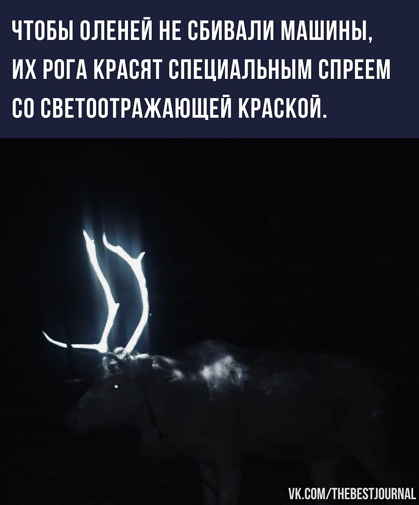    - 2