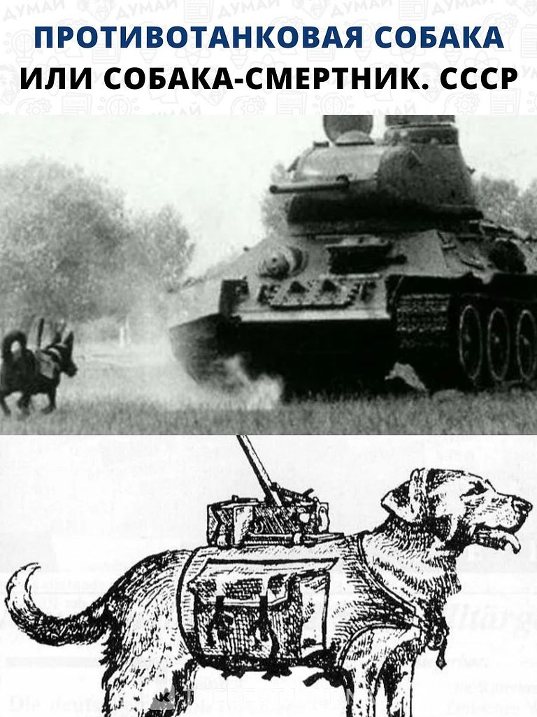    ,       .