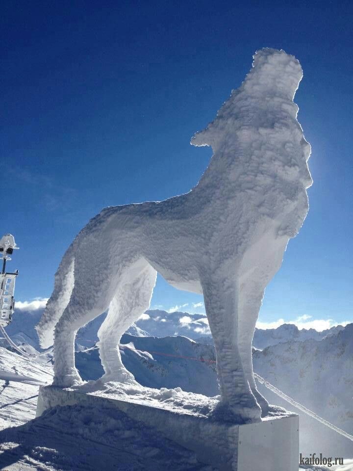   - 6