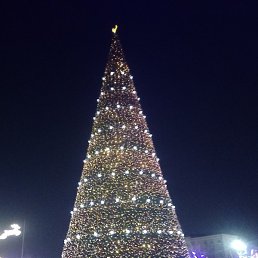 �����, �������, 38 ���