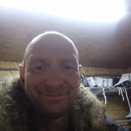 �����, ������, 46 ���