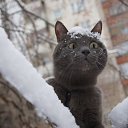 ���� 9 ��� �����- ����!!!, ��������� - ��������� 31 ������� 2022 � ������ ����� � *�����*...�