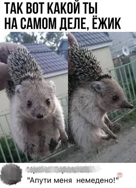   - 27  2022  10:39