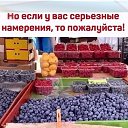  , -, 66  -  14  2022    