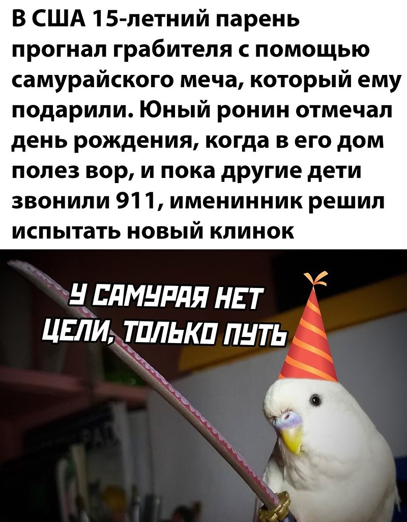 ☆ ☆ - 5  2022  06:18