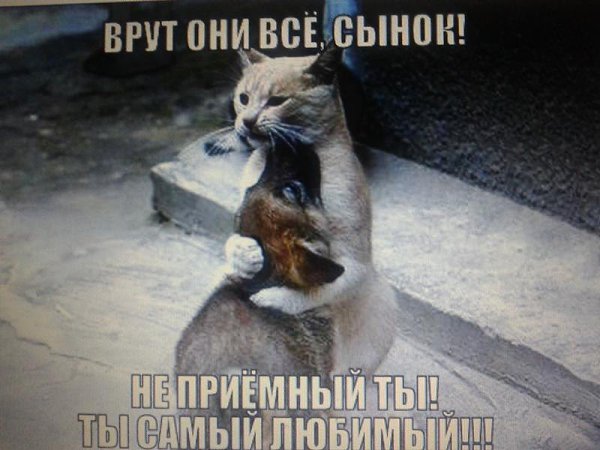 Ирландское благословение.Я желаю тебе не дороги, свободной от облаков,И не жизни на ложе из роз,И не ...