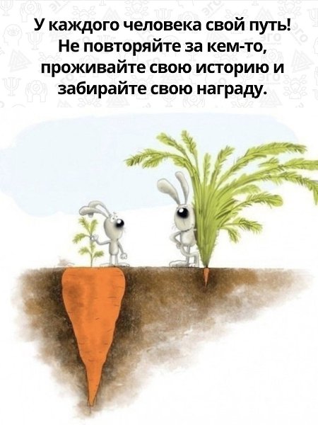 Наглядный пример, который отлично показывает, что не стоит оглядываться на других. Сравнивайте себя ...