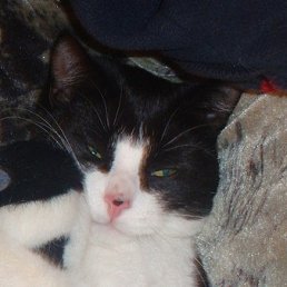 ���� Trockkot, ������, 24 ���� - ��������� 30 ������ 2022