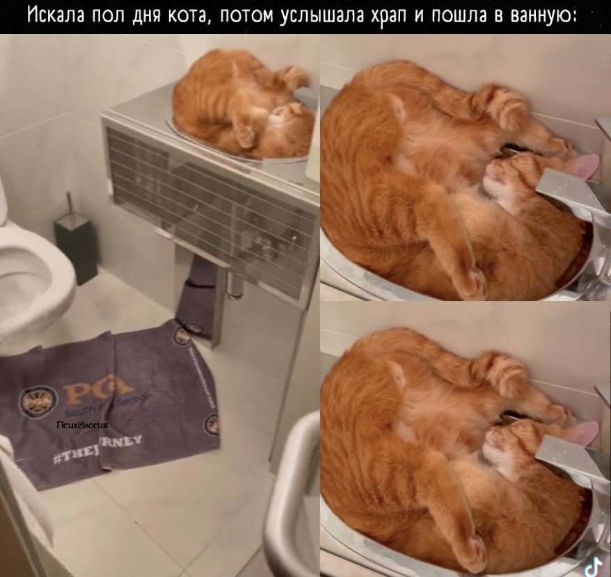   ,   ?