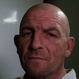 , , 44 