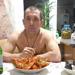 ���� ��������, ���������, 44 ���� - ��������� 6 ������ 2022