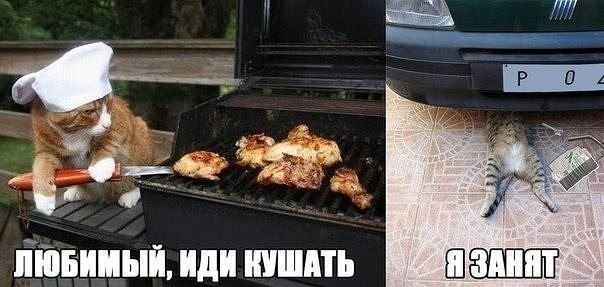    - 6  2022  00:24