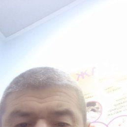 ���� ������, �����������, 51 ��� - ��������� 4 ������ 2022