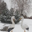  ,  -  11  2022    