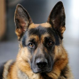 ���� ���, ������, 37 ��� - ��������� 24 ������ 2023