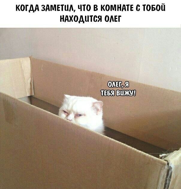    - 9  2023  04:30