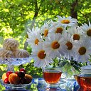 ���� ������, �����-���������, 56 ��� - ��������� 22 ������� 2022 � ������ ���� ����������