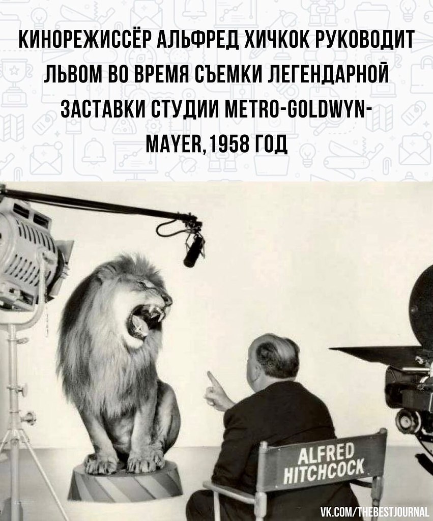 BEST | , ,  - 17  2022  21:10
