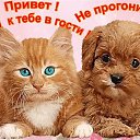  ,  -  2  2022     ,  .