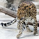 ���� Marlen, ����������� - ��������� 31 ���� 2022 � ������ ������ ��������