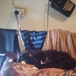 ������, ������, 61 ���