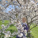 ���� ��������, �������, 70 ��� - ��������� 6 ��� 2022 � ������ ���� ����������