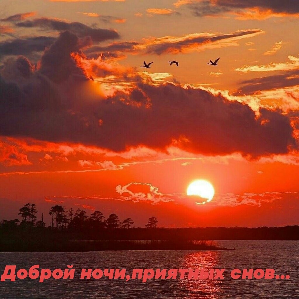   ,    . - 6  2022  22:09