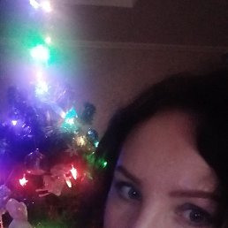 ���� ������, �����������, 49 ��� - ��������� 12 ������� 2023