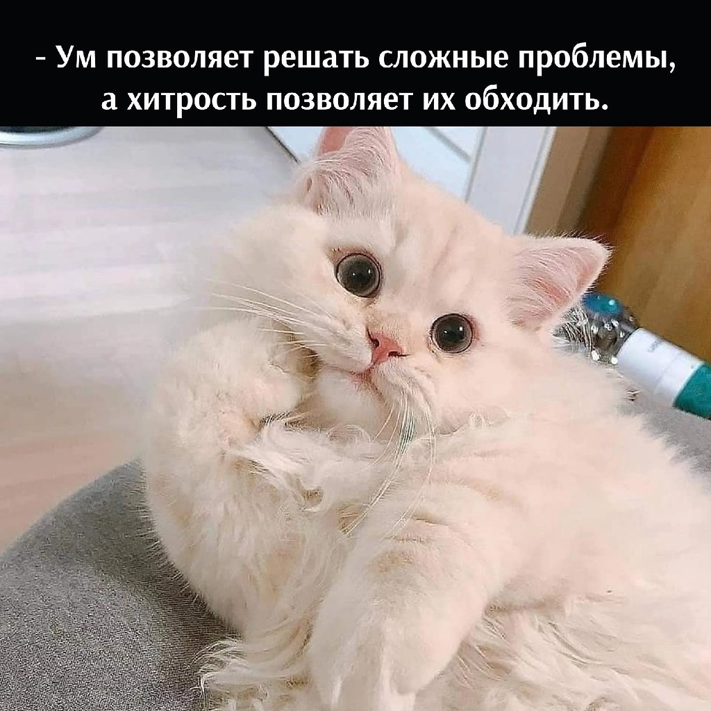       - 17  2022  16:15 - 2