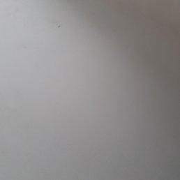 �����, ������, 98 ���